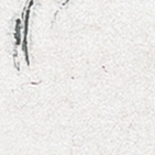 醫(yī)療照護(hù)