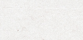 早期教育指導(dǎo)師